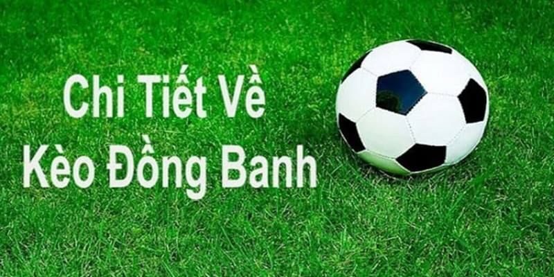 Tổng hợp kinh nghiệm hữu ích để chiến thắng kèo đồng banh