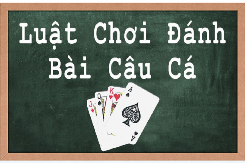 Luật cá cược bài câu cá