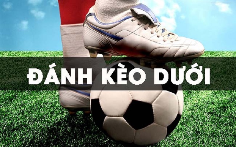 Chia sẻ kinh nghiệm đánh kèo dưới tại cổng game SV88